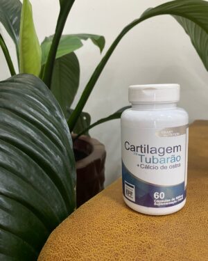 4e cartilagem.jpg