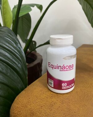 4e equinacea.jpg