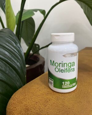 4e moringa.jpg
