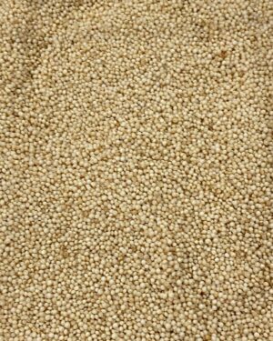 amaranto em grão.jpg