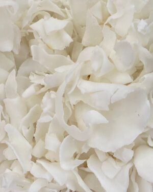 coco chips sem açúcar.jpg