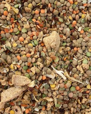 lentilhada vegetariana .jpg