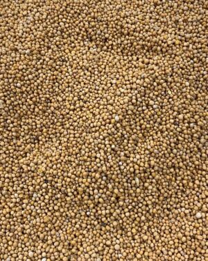 mostarda em grão.jpg