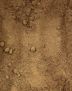 nós moscada em pó.jpg