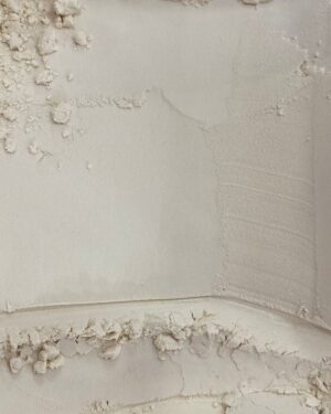 proteína isolada de soja.jpg