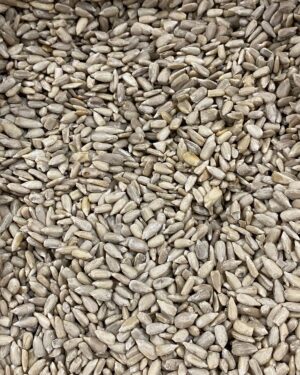 semente de girassol.jpg