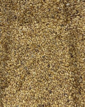 semente de linhaça dourada.jpg