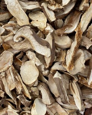 shitake fatiado laminado.jpg