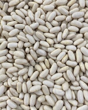 branco feijao.jpg