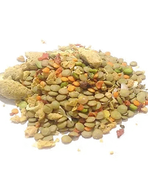 lentilha vegetariana