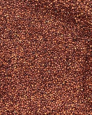 quinoa vermelha.jpg
